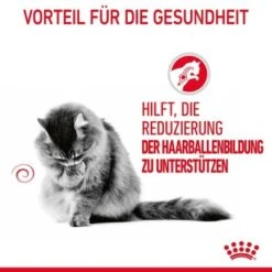 ROYAL CANIN Hairball Care 12 X 85 G -Katzenbedarf Geschäft 81812c97ef6be37b8d0c7dab9df24712cfb21604 1229818 4