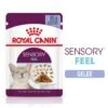 ROYAL CANIN SENSORY Feel In Gelee Für Wählerische Katzen 12x85g -Katzenbedarf Geschäft 84e70622fa17a4477e695e9dab81b6845f821866 09dab7b2ca5ec9dea99bb765c141202761c9b452