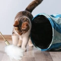 Kater Kasimir Premium Paket Mit 7 Beliebten Katzenspielzeugen Aus Naturmaterial 10 Kater Kasimir Premium Paket Mit 7 Beliebten Katzenspielzeugen Aus Naturmaterial -Katzenbedarf Geschäft 84f221d79ef76f1b4f2f0037d329c11c6fce3a33 1408152 de DE 294269527f07b1898ca7562c986e956043828d3cA8xBpO