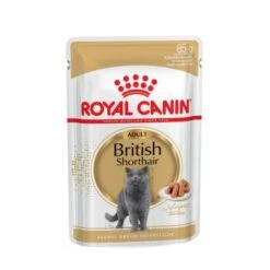 ROYAL CANIN British Shorthair 12x85g