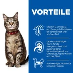 Hill's Science Plan Adult Lamm & Reis 3 Kg -Katzenbedarf Geschäft 8db58ed390d5785522472b6036609926b6de3400 52742022949 4
