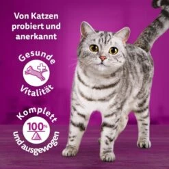 Whiskas Tasty Mix Multipack Chef's Choice In Sauce 40 X 85g -Katzenbedarf Geschäft 90c69f8b60998b1e42a320aa3c632d7b173d2464 1410720 de DE Whiskas 7