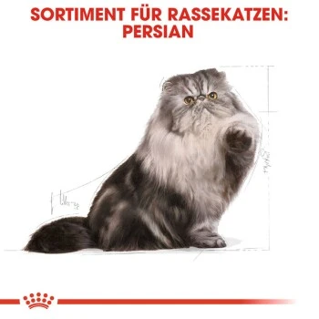 ROYAL CANIN Persian Adult 10 Kg 9 ROYAL CANIN Persian Adult 10 Kg – Bild 7