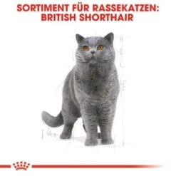 ROYAL CANIN British Shorthair Adult 2 Kg -Katzenbedarf Geschäft 9365d2e698cecd605cd1a65c1f6739678bb8db93 b918cdac1f0d9facd4834fa0fbe07edcafd8fe8b