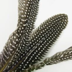 Schlitzohr Katzenangel Federanhänger 5x 18 Schlitzohr Katzenangel Federanhänger 5x -Katzenbedarf Geschäft 93b8e0c984d323f24d455bf8e74e2dbacef5703e 1484675 de DE 7b80f213f44ebcad765dbdebc25bf2d2f0177dbd64kHU2