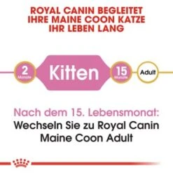 ROYAL CANIN Maine Coon Kitten 4 Kg -Katzenbedarf Geschäft 9494efda15798aa930f4c836c086824869519e76 d153c89f98a812830b790602e2c1dd84504c30b9