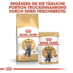 ROYAL CANIN British Shorthair 12x85g -Katzenbedarf Geschäft 979463e526b8aec711ad3c08fb414444e9d36d40 4c88cd0b2bc9c30f47889b3683ee9f7b75c80663