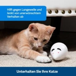 PetSafe Automatisches Katzenspielzeug RoloRat -Katzenbedarf Geschäft 97df3eec34472f4ac76f2a0bbe4e75fdbbe02b64 1351522 de DE 83c2d308e962c4b6c64101ee39311b3a61647f71n2yR1C