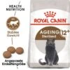 ROYAL CANIN Ageing 12+ Sterilised 4 Kg -Katzenbedarf Geschäft 9802dd133559937b704068f6cc8306b45b98c2ea c94ee72411cd7bd6a72a1493c122daa72c82a5e1
