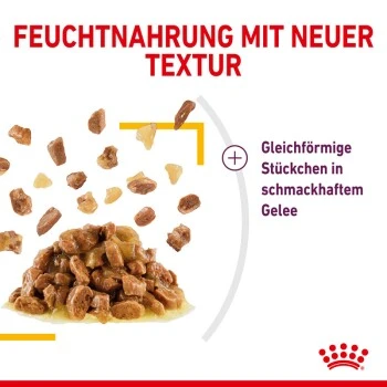ROYAL CANIN SENSORY Taste In Gelee Für Wählerische Katzen 12x85g 8 ROYAL CANIN SENSORY Taste In Gelee Für Wählerische Katzen 12x85g – Bild 6