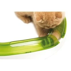 Catit Senses 2.0 Spielschiene PLAY -Katzenbedarf Geschäft a434a51fbb3cea9115a70f794cb2ba3a841a83c1 cde18b948794493f254a933b56114a60c0d74eea