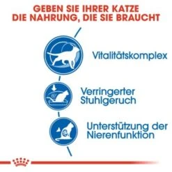 ROYAL CANIN Indoor 7+ 3,5 Kg -Katzenbedarf Geschäft b15b3a341edb82d3b0b2fbcdfa1085a485519ef2 8029a12bcb04e5bfd8b7a4d93e4a2c997c8d2856