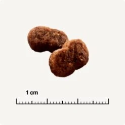 SELECT GOLD Hair+Skin Senior Geflügel & Lachs 2,5 Kg -Katzenbedarf Geschäft b42128ae83c41454d6be7d6047b7c0aaed5f051a 1001086011 de DE 6