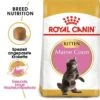 ROYAL CANIN Maine Coon Kitten 4 Kg -Katzenbedarf Geschäft b653bcf95fc9d0b8a3c8eee710843e455acba2f0 53328fcc7c4c7fc12c76a25aed7c7c1981767a10