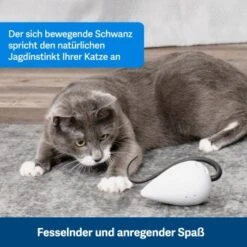 PetSafe Automatisches Katzenspielzeug RoloRat -Katzenbedarf Geschäft b65e953878b463eb5125c940634b84e8b7c79a3f 1351522 de DE 3daf7dbb27d01ce7d63f06677a32dd6cde28abb9X2tLJP