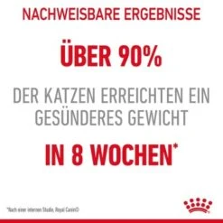 ROYAL CANIN Light Weight Care 8 Kg -Katzenbedarf Geschäft b702863cfb66ffcd9a58e41e369f14387f6c50b9 1332703 3