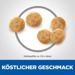 Hill's Science Plan Mature Adult 7+ Thunfisch 10 Kg -Katzenbedarf Geschäft b893042447fed04900ce8380095f7d904fbf13fd 1322220 de DE Hills SPMature 7