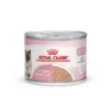 ROYAL CANIN Mother & Babycat Mousse 12x195 G -Katzenbedarf Geschäft c32fc0cfebd8f5e89e3cbdf6c7b8a5d0108f587c 9003579002667 12