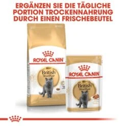 ROYAL CANIN British Shorthair Adult 2 Kg -Katzenbedarf Geschäft c753bd00548b3887de38170504d89850cc579133 6ad27fa67d71d664216d6c9c00894ac1ba874172