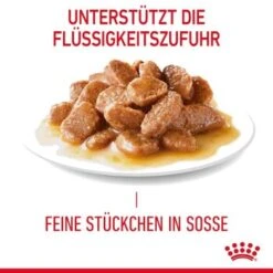 ROYAL CANIN Hair & Skin 12x85g In Soße -Katzenbedarf Geschäft cda935c187750d37b87d8db1f9008a519dae72b1 1099143 6