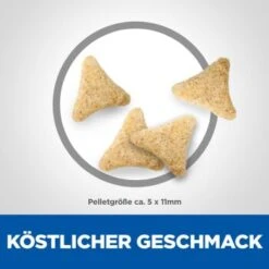 Hill's Science Plan Hairball Indoor Adult Mit Huhn 3 Kg -Katzenbedarf Geschäft d22915eed5f581b2aadd8692cf33e6afbd622437 52742024011 6