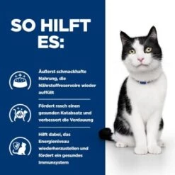 Hill's Prescription Diet Digestive Care I/d Mit Huhn 1,5 Kg -Katzenbedarf Geschäft ddccd52160104f7b7f3535b6cd975644a40338f3 9eba5f4f6ef6e3e09f2e97d06ede39f398a10cb1
