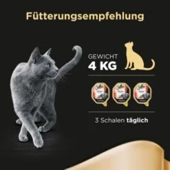 Sheba Selection In Sauce 22x85g Mit Rinderhäppchen -Katzenbedarf Geschäft df37dc46181a88a1be6d8d9d2f7654156a5e7d19 4ad6dfb0c0d06f33126b23464dd4c1bdf61f6abc