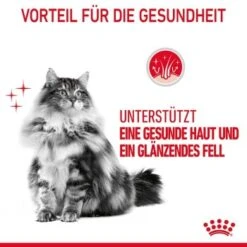 ROYAL CANIN Hair & Skin 12x85g In Soße -Katzenbedarf Geschäft e2d81ab81d31e0f585394370ccf8b63bb2844395 1099143 5