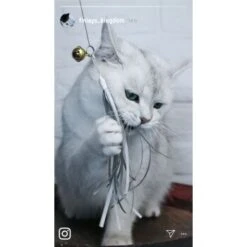 Kater Kasimir Premium Katzenangel Mit 4 Handgemachten Anhängern Aus Naturmaterial -Katzenbedarf Geschäft e6fe48d27b82d48675d665ee2a143e3c11de2fd9 1408150 de DE b29a5f7f2530ce6388e16e2600369d70b2ec0350kYn6B8