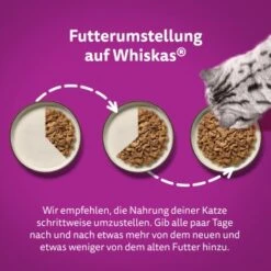 Whiskas Jumbo Pack 1+ Fisch Auswahl In Gelee 80 X 85g -Katzenbedarf Geschäft e9fa5d9648fc621ba0bfa80c21e55ef3f92471aa 1410724 de DE Whiskas 5