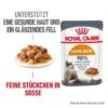 ROYAL CANIN Hair & Skin 12x85g In Soße -Katzenbedarf Geschäft f1a255aad6f944449acb2c6f5a3937572f3debf3 1099143 3