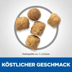 Hill's Science Plan Adult Lamm & Reis 3 Kg -Katzenbedarf Geschäft f5e41a5f5a640256bc5c7f910604e9e0b31ff16c 52742022949 6