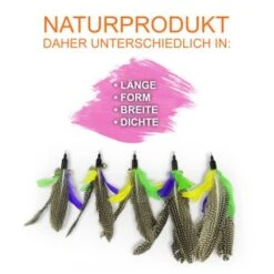 Schlitzohr Katzenangel Federanhänger 5x 15 Schlitzohr Katzenangel Federanhänger 5x -Katzenbedarf Geschäft f6a96b93601c3b2f6f7420ade3ecfe56542cca74 1484675 de DE b1d2fd29ad67016b9a6af908251d348edfa467f2BG8aWR