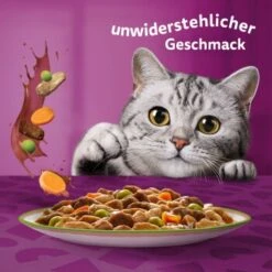 Whiskas Tasty Mix Multipack Chef's Choice In Sauce 40 X 85g -Katzenbedarf Geschäft f6e2ae102927feafb9e342708a0412557690953c 1410720 de DE Whiskas 6