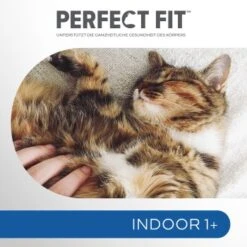 PERFECT FIT Beutel Indoor 1+ Huhn 5x1,4 Kg -Katzenbedarf Geschäft f89e95b65e2c59af18736d04672e37eab3ee6322 1002911003 4