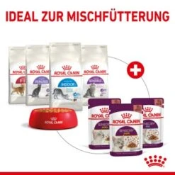ROYAL CANIN SENSORY Feel In Soße Für Wählerische Katzen 12x85g -Katzenbedarf Geschäft fb0210c69e5e3e0c4d482614a5149e425b2ae562 76a6c72eee9ff76230a512b60a5a19dc127015ff