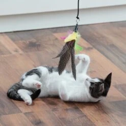 Schlitzohr Katzenangel Federanhänger 5x 13 Schlitzohr Katzenangel Federanhänger 5x -Katzenbedarf Geschäft fb09936ea9d25b4ceb7b2f0b88286c91e6ede665 1484675 de DE 706999394aba568bf156a2aea623d154b845a9f55pZfqW