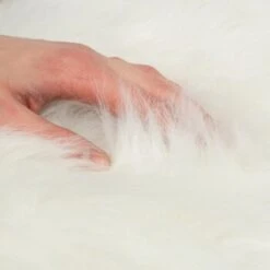 Canadian Cat Company Filzlounge AVA Beige M 17 Canadian Cat Company Filzlounge AVA Beige M -Katzenbedarf Geschäft fd8b746ad0dc996bb62efc39f6c670f6be8df30e 1360999 de DE c86a4e6d9ceba2c1e55f3f753eeda095c89215723XoDPL