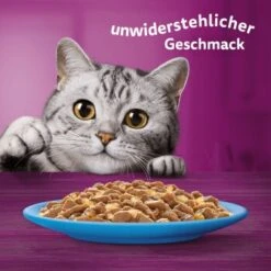 Whiskas Jumbo Pack 1+ Fisch Auswahl In Gelee 80 X 85g -Katzenbedarf Geschäft fec7c318dfc6872c65e754a2b3bf40ee0b91811b 1410724 de DE Whiskas 6